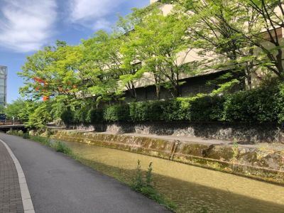 白川の川べり