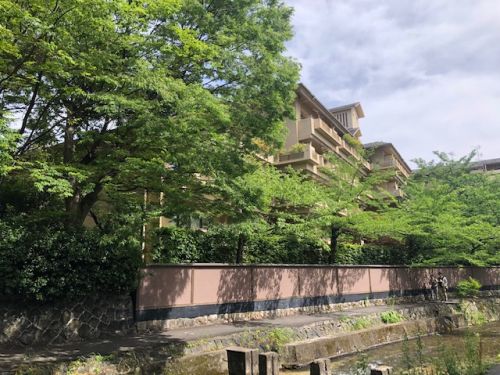 白川の川べり2