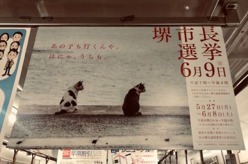 堺市市長選挙のポスター
