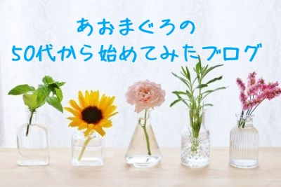 f:id:vidro-man:20190616225141j:plain