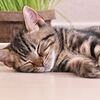 最大級のめまいに襲われる