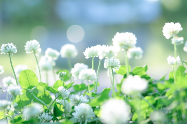 f:id:vidro-man:20190712005910j:plain