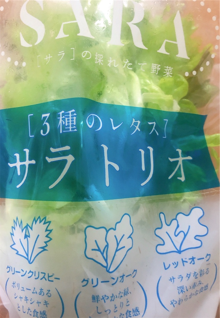 f:id:vidro-man:20191024221104j:image