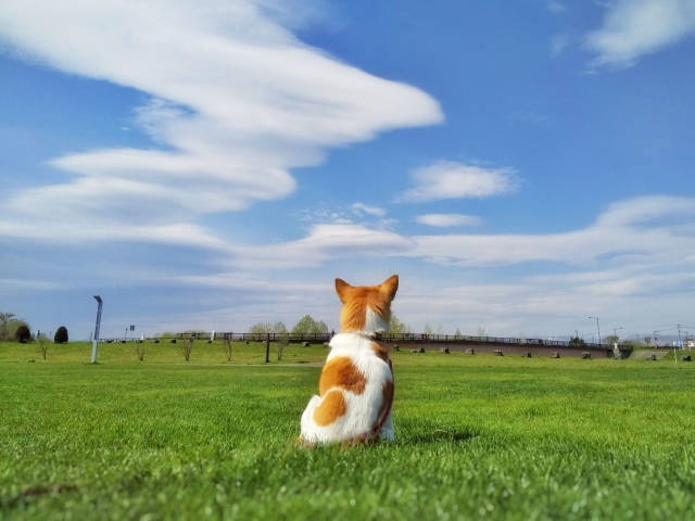 f:id:vidro-man:20201214031420j:plain