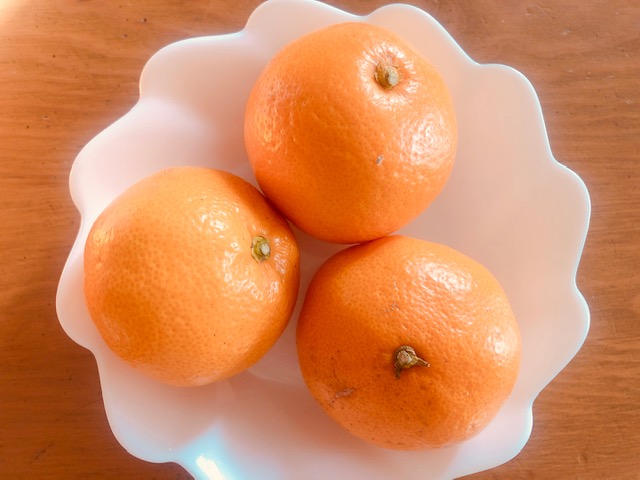 f:id:vidro-man:20201215072304j:plain