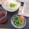 食の大切さを教えてくれた牛乳パック菜園【2021年夏】