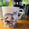 日常使いの食器こそ、こだわりたい