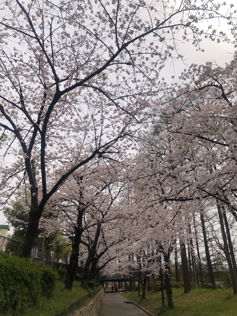 f:id:vidro-man:20220329072426j:image