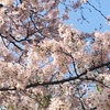 新しい住まいにあった「理想の暮らし」