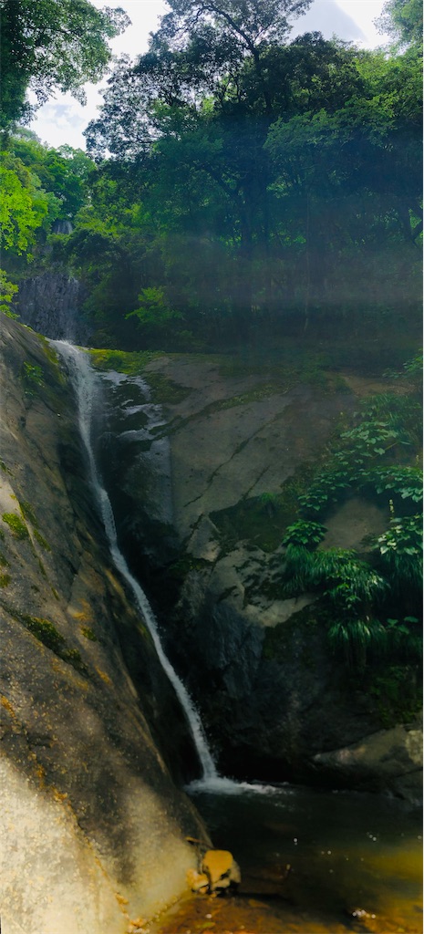 f:id:vidro-man:20220630080402j:image