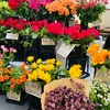 おひとりさま、花のある休日を目指して玉砕　