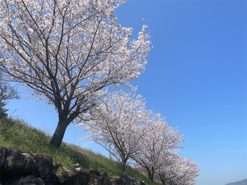 f:id:vidro-man:20230402124534j:image