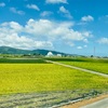 やっぱり夏の旅が好き！な理由