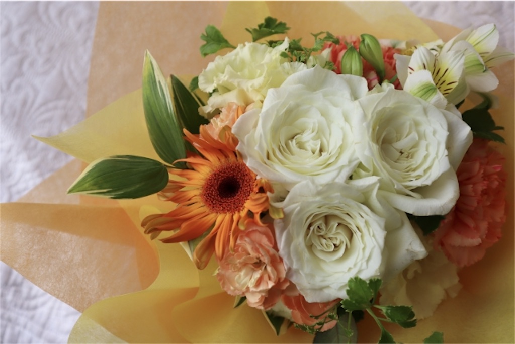f:id:vidro-man:20241221104331j:image