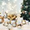 クリぼっち　ないクリスマスとあるクリスマス
