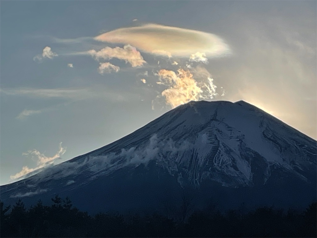f:id:vidro-man:20250106101229j:image