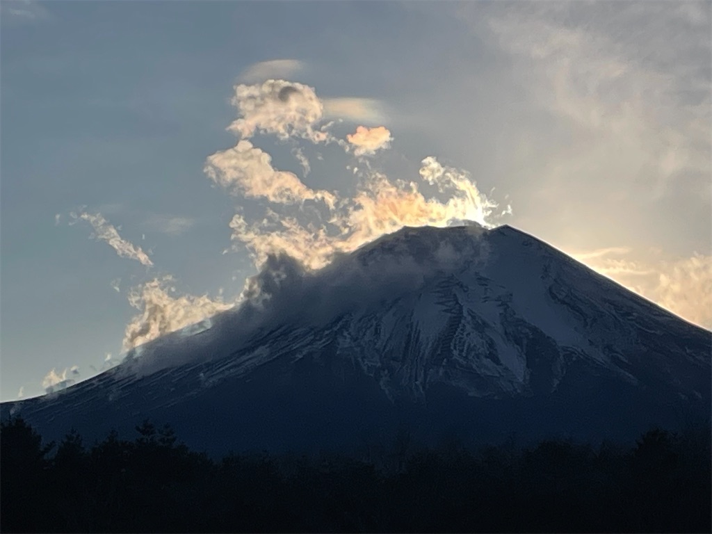 f:id:vidro-man:20250106101233j:image