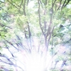 晴天の霹靂のあとに感じた言霊