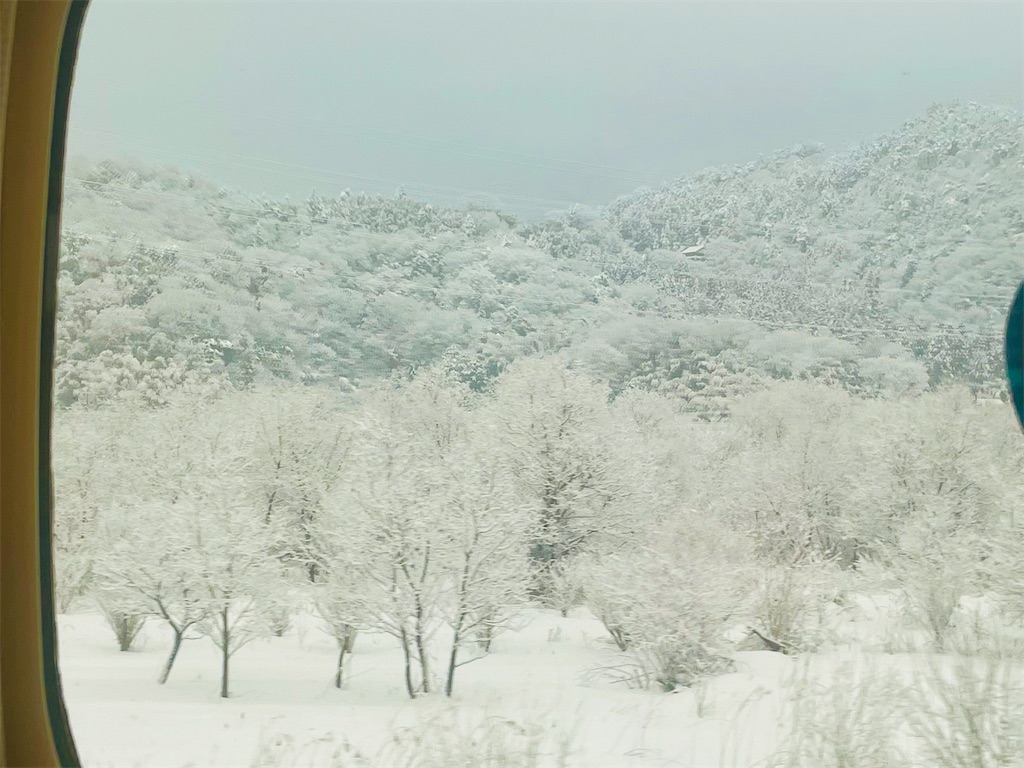 f:id:vidro-man:20250221074812j:image