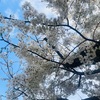 東京暮らし　いつもと違う今日！でした