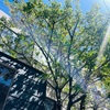 還暦目前、封印していたモノを解放した