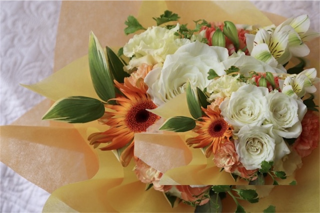 f:id:vidro-man:20250418091548j:image