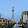 「東京には慣れましたか？」と聞かれて